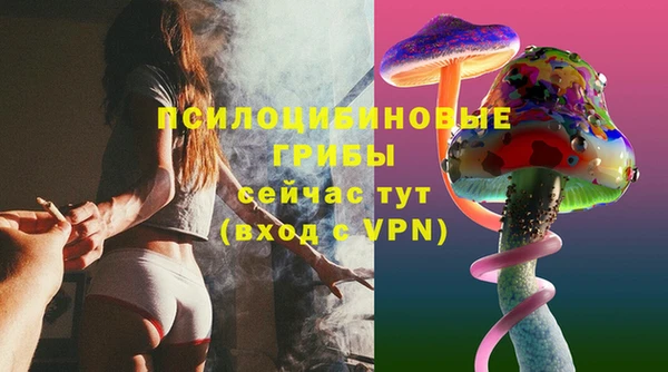 соль ск Струнино