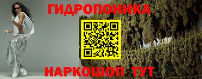 прущие грибы Гагарин