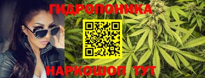 прущие грибы Гагарин