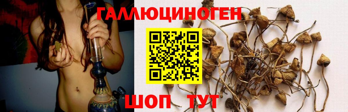 Галлюциногенные грибы ЛСД Оренбург
